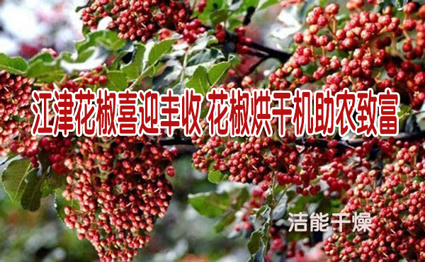 江津花椒喜迎丰收 花椒烘干机助农致富